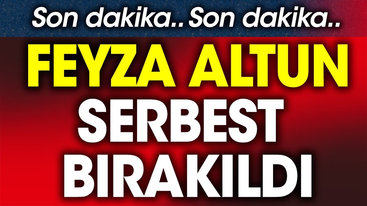 Feyza Altun gözaltına alındıktan sonra serbest bırakıldı