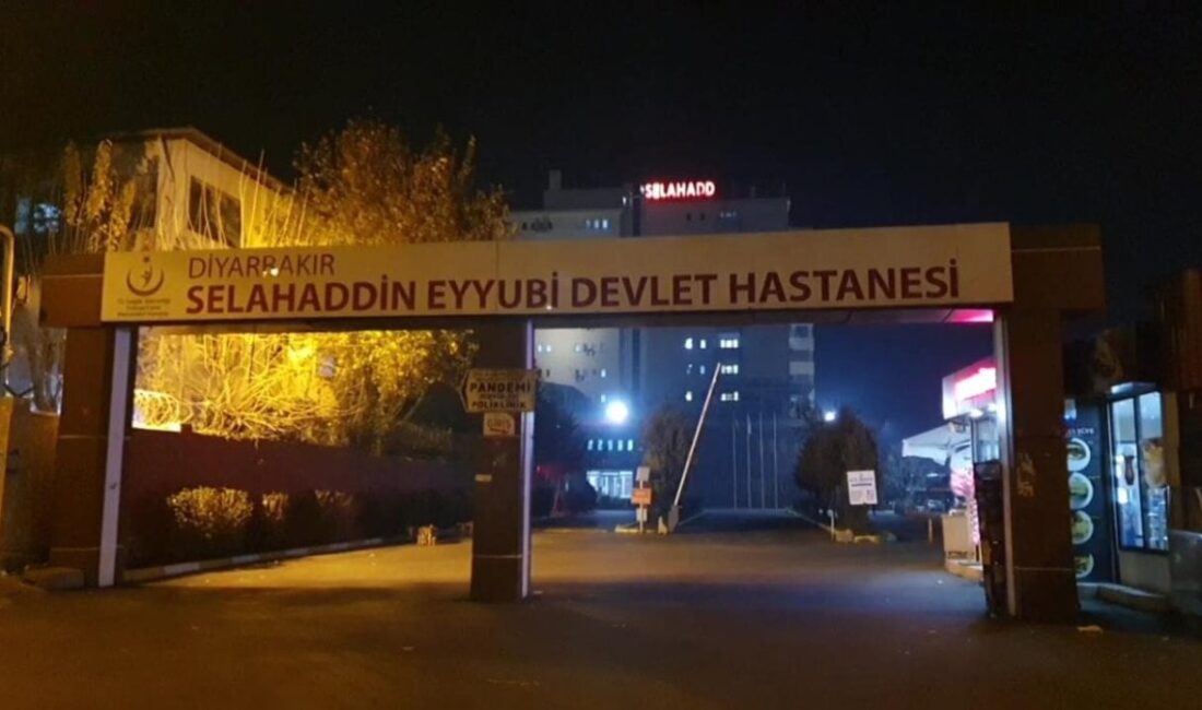 Diyarbakır Lice'de akraba iki