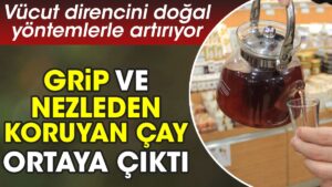 Grip ve nezleye iyi gelen çay ortaya çıktı. Vücut direncini doğal yöntemlerle artırıyor