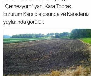 Dünyanın en verimli zonal toprak türü