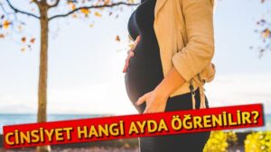 Bebeğin cinsiyeti ne zaman oluşur?