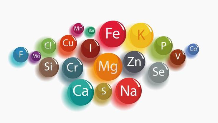 mineral-iceren-yiyecekler-nelerdir Mineral içeren besinler