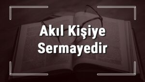 Akıl kişiye sermayedir atasözünün anlamı