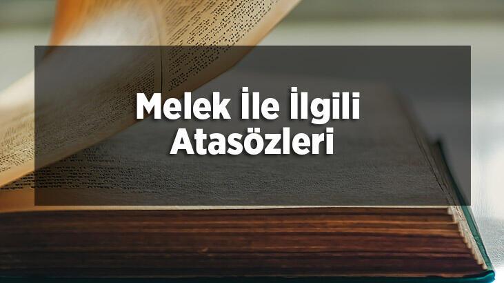 Melek sözcüğü olan deyim ve atasözleri Meleklerle ilgili deyimler, melek