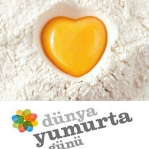 Dünya Yumurta Günü ne zaman?