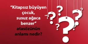 Kitapsız Büyüyen Çocuk Susuz Ağaca Benzer Atasözünün Anlamı Nedir? Kısaca Açıklaması Ve Örnek Cümle…