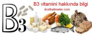 B3 Vitamini (Niacin) özellikleri, Faydaları ve Zararları