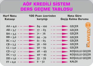 Rahim Ağzı Kanseri Nedir?