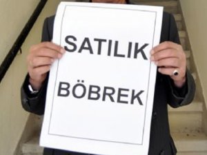 Böbreğini Satanlar Satılık Böbrek Haberleri