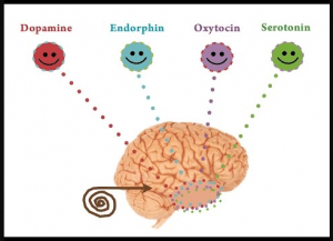 Vücutta ağrı kesici etkisi olan mutluluk hormonu