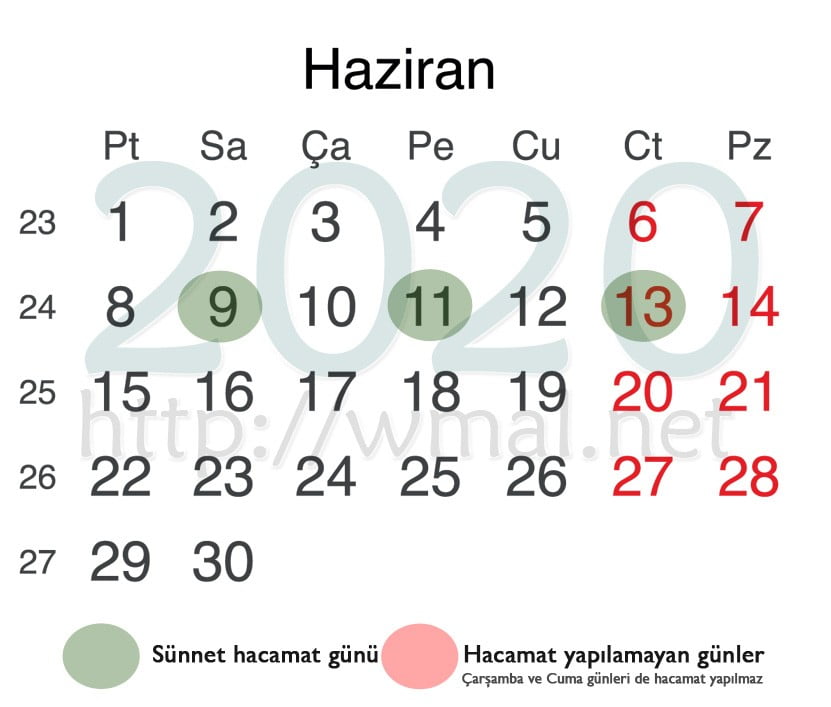 Haziran Kaç Çekiyor ? Haziran Kaç Gün Hangi kaç çekiyor,