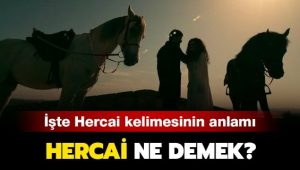 Hercai anlamı nedir?