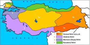 Karasal İklim Nedir, Nerelerde Görülür? Karasal İkliminin Özellikleri Nelerdir?