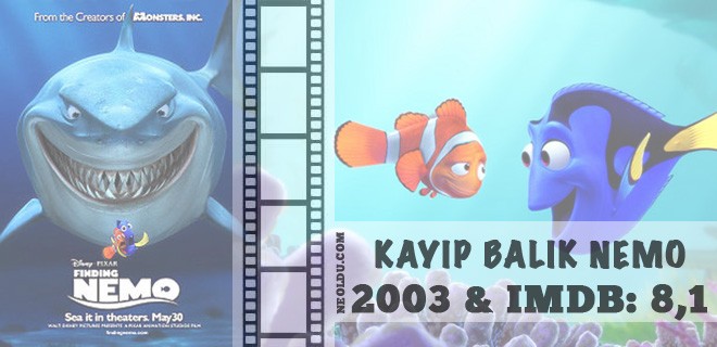 kayip-balik-nemo-002.jpg