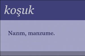 Koşuk biçiminde yazılmış şiire ne denir?