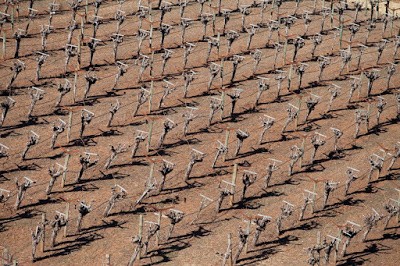 Kuraklık nedir? NASA, Türkiye’nin son 900 yılın en kötü kuraklığını