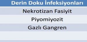 Miyozit nedir piyomiyozit nedir?