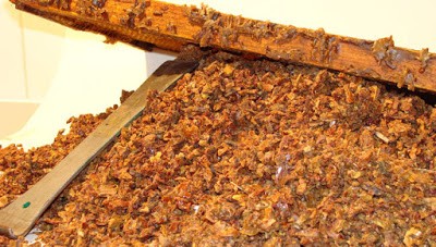 Propolis, ağaçların kabukları, yaprakları