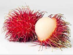 Rambutan Nedir ? Faydaları Nelerdir ?