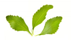 Stevia Bitkisi Nedir Ne İşe Yarar ? Asıl adı “stevia”