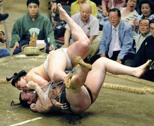 sumo