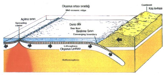 Hızlı Erişim ADET GECİKMESİ