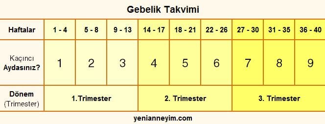 Gebelik Haftası Hesaplama Takvimi