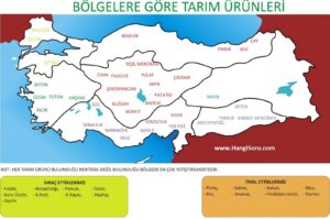 Binbirdelik otu nerelerde yetişir faydaları nelerdir