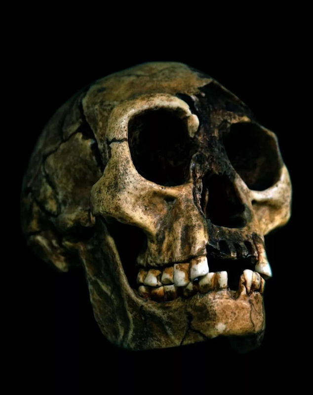 Hobbit insan yeniden mi canlandı? Homo Floresiensis’in hayatta olduğuna dair şok edici kanıtlar!