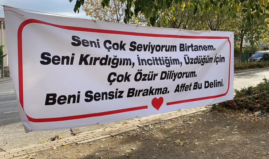 6 Aralık Dünya Özür