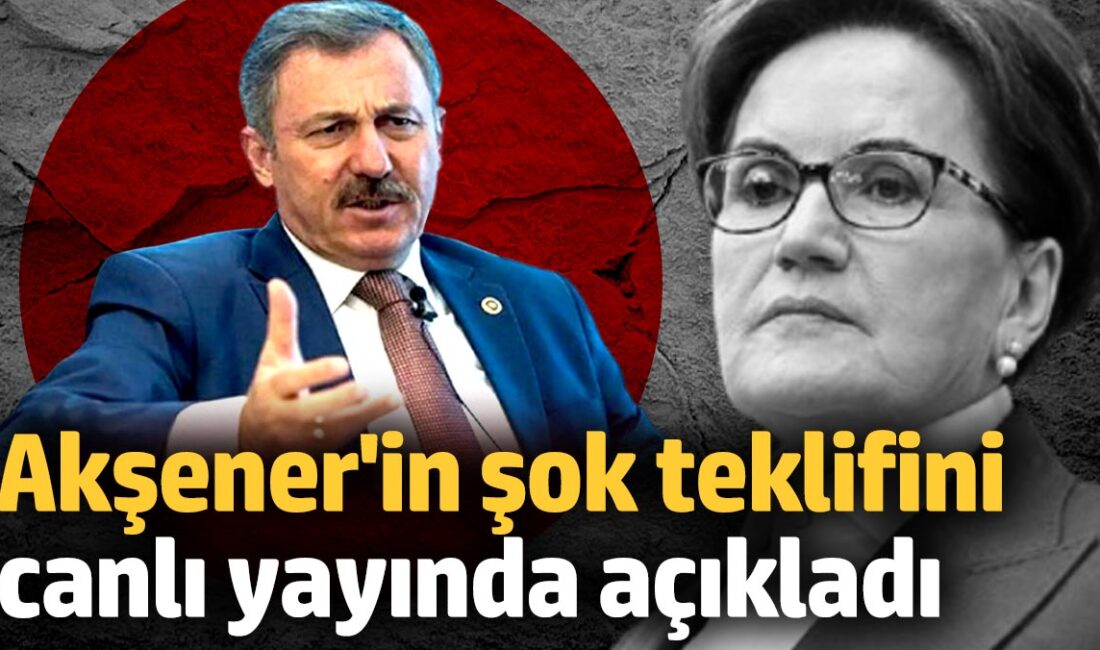 Meral Akşener'in Selçuk Özdağ'a yaptığı teklif, muhalefetin ittifak sorunlarını bir