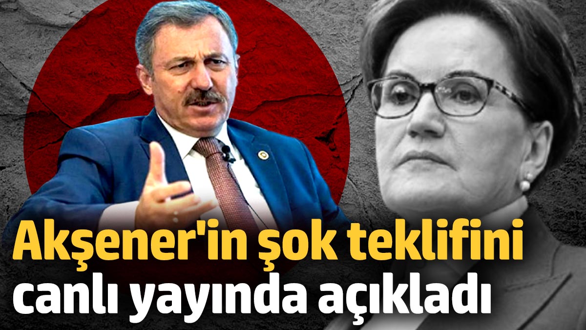 Meral Akşener'in Selçuk Özdağ'a yaptığı teklif, muhalefetin ittifak sorunlarını bir